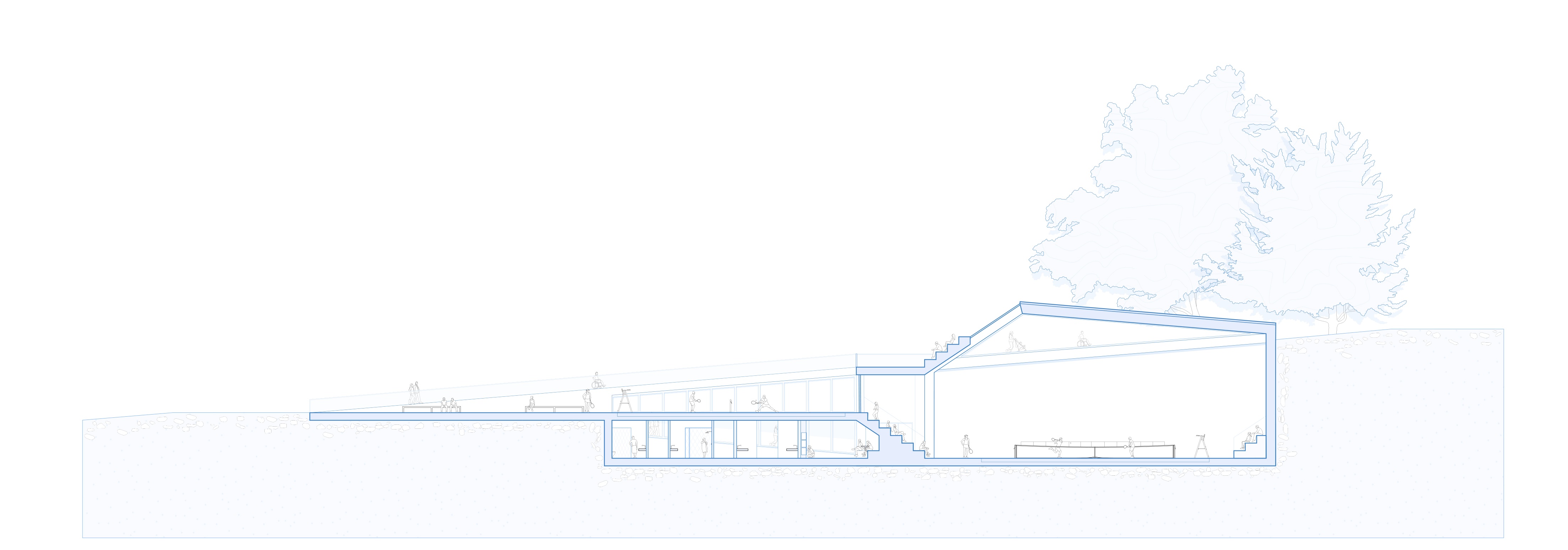Section Drawing